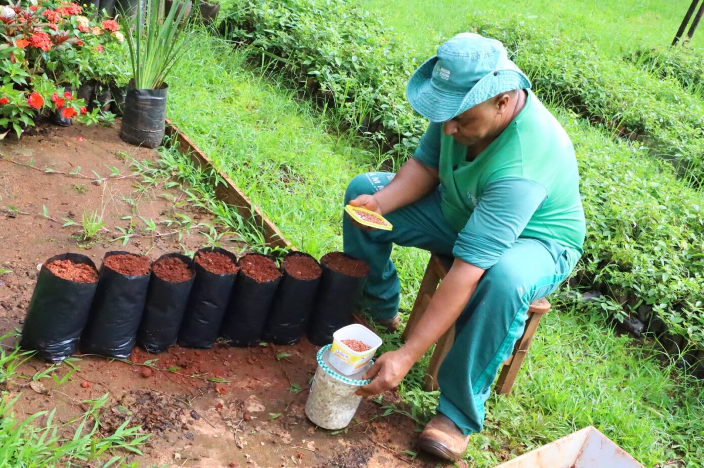 Jornal Argumento Prefeitura de Goiânia adere ao Virada Ambiental 2023